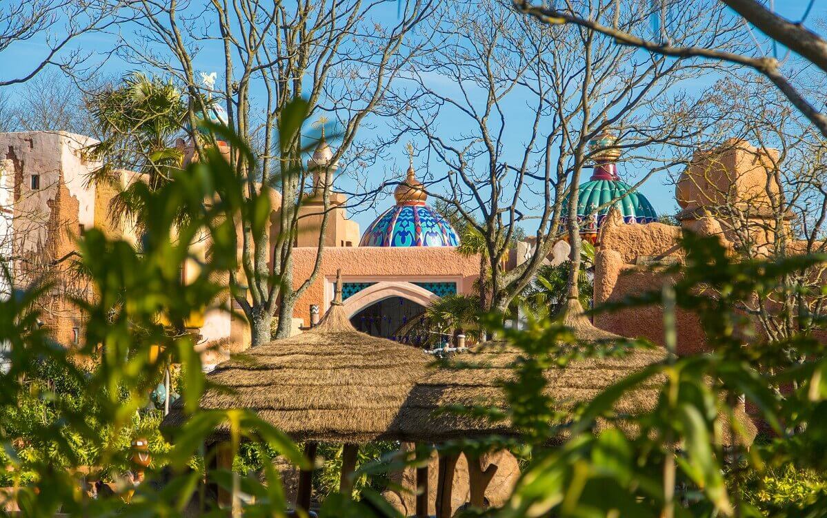 View of the roofs of the Adventureland View of trees and roofs in Adventureland