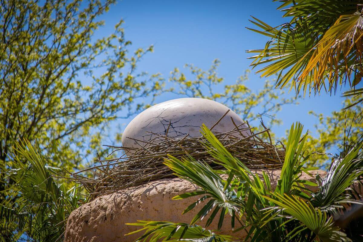 Big egg in a bird nest A huge egg lies in a bird's nest at the Arabian bazaar