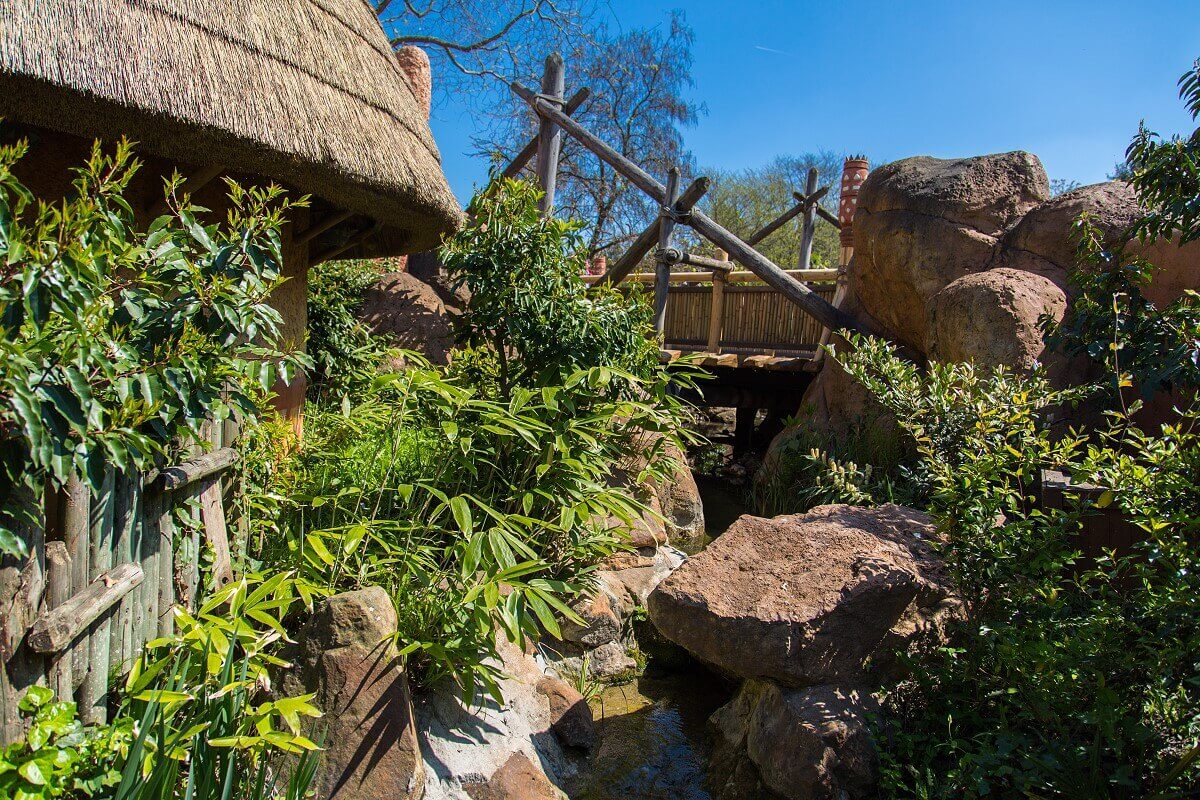 View into the area of the Africa area View of plants, stones and a bridge in Adventureland