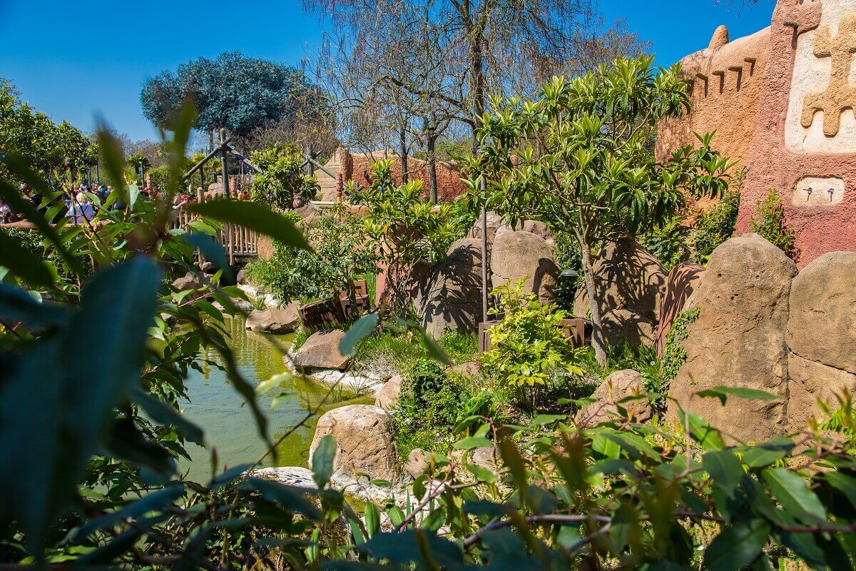 View into the area of the Africa area View through a bush to a small body of water and many plants