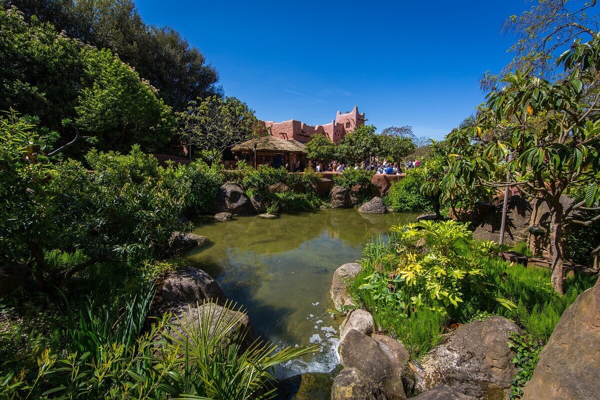 Water in the African area and restaurant Hakuna Matata View over a shallow body of water to the Hakuna Matata restaurant in Adventureland