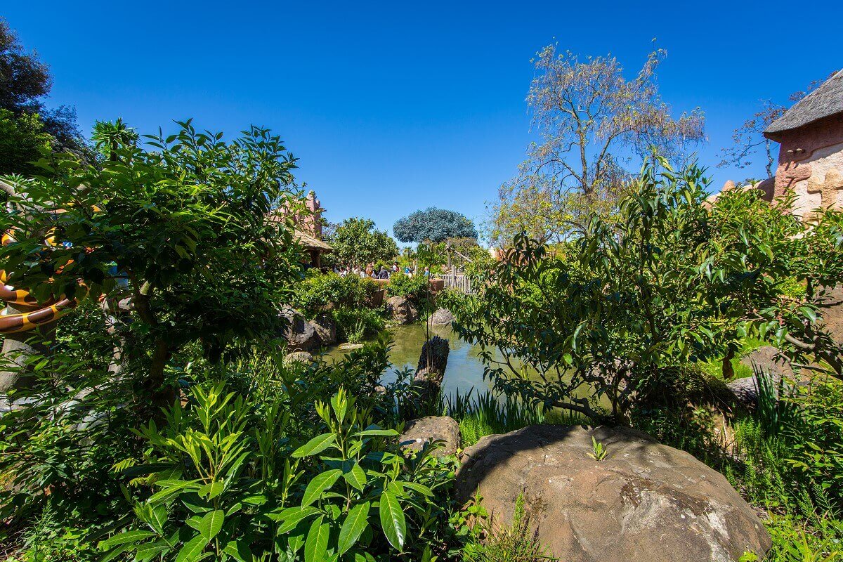 Natural terrain in Adventureland View through bushes and plants to a small body of water