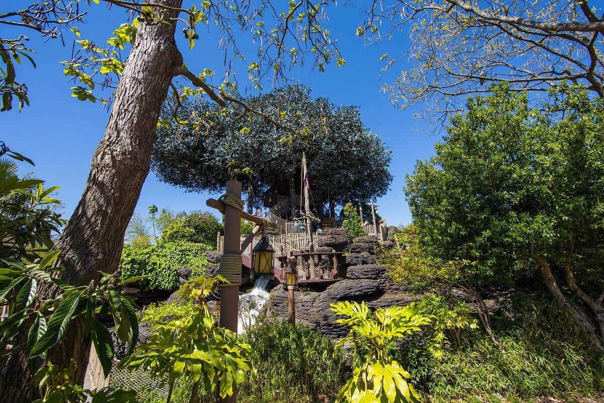 Ways of the tree house in Adventureland View from the outside of some ways of the tree house