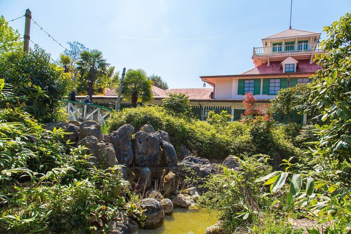 Vegetated surroundings of the restaurant View of Colonel Hathis Pizza Outpost through a thicket of different plants