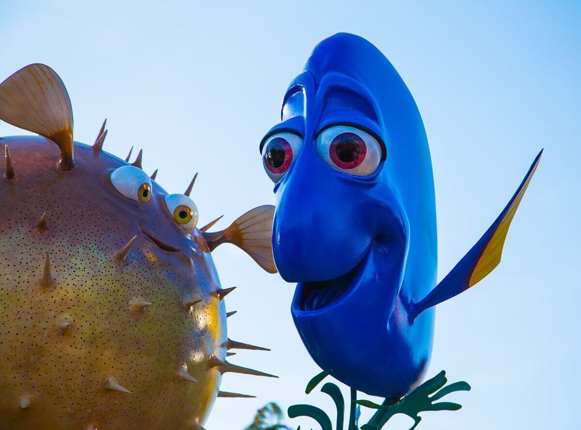 Dory and Puff The puffer fish Puff and next to it Dory