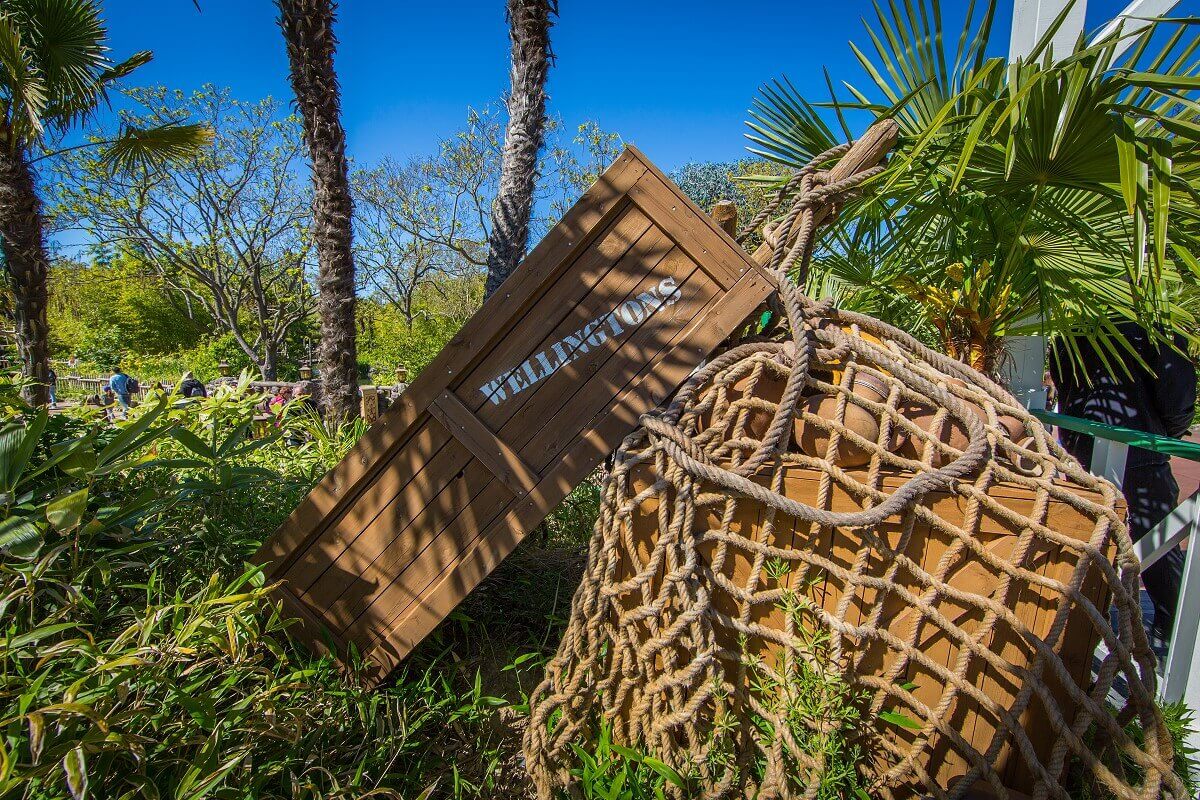 Wooden boxes in the middle of a thicket of plants there is a wooden box with the inscription Wellingtons and other boxes in a net