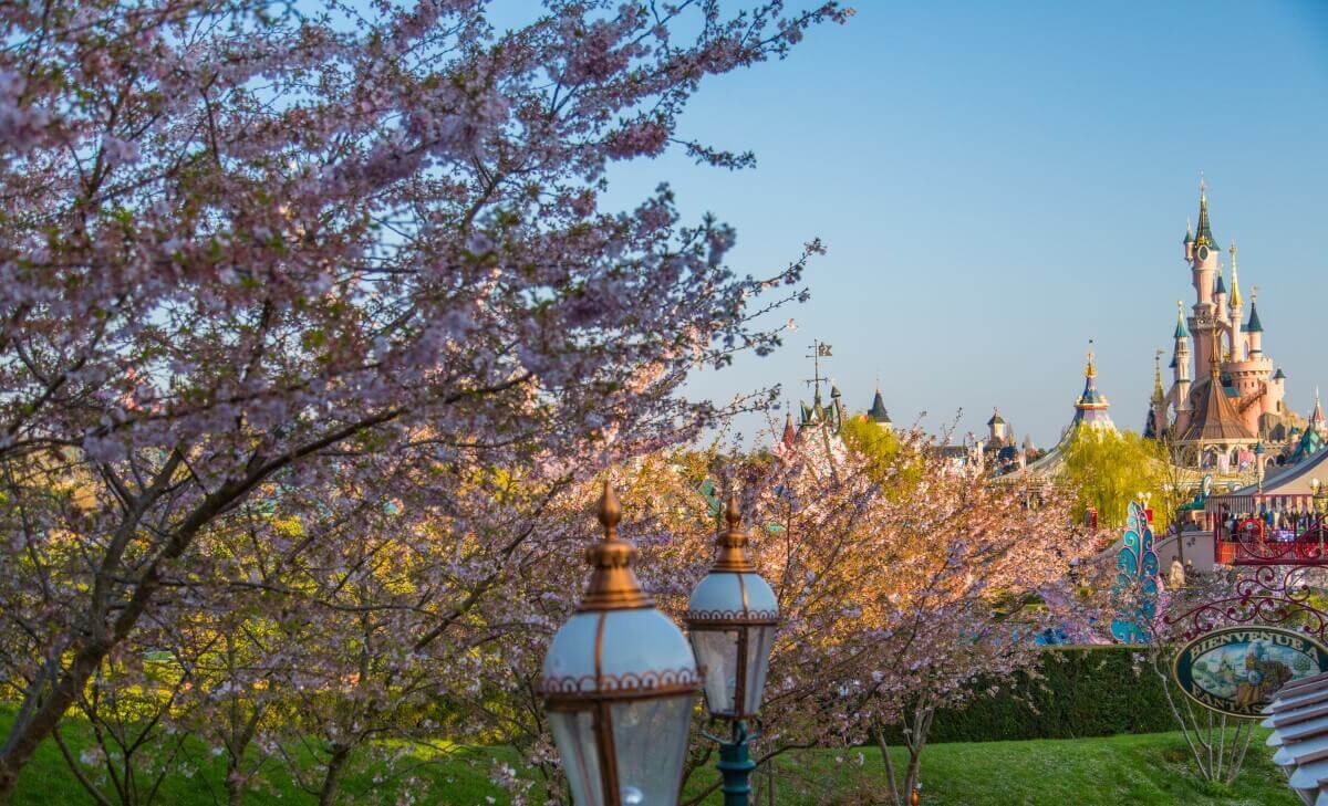 Spring impressions from Fantasyland View of some flowering trees with parts of Fantasyland in the background