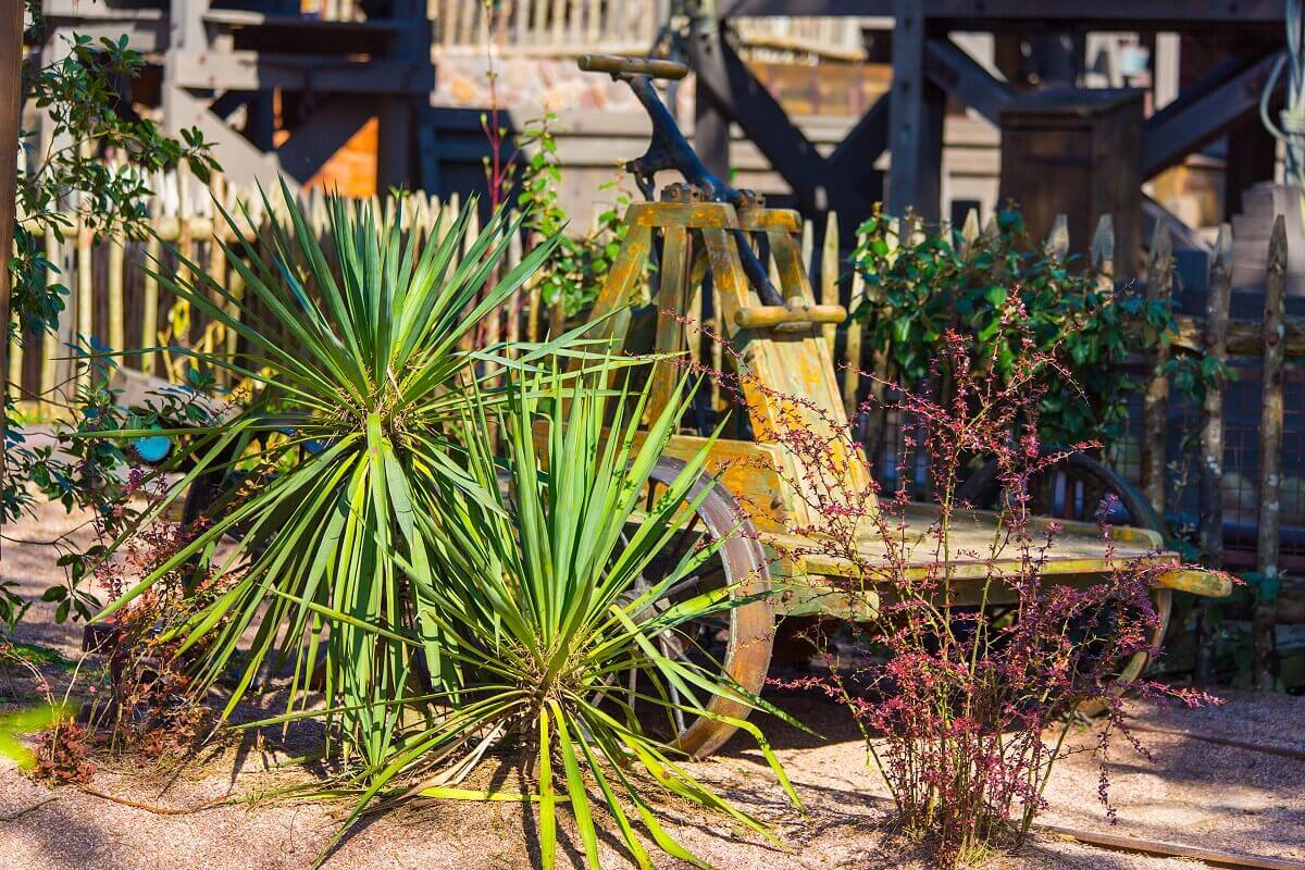 Rail cars On an area with sandy ground a rail car stands between some bushes