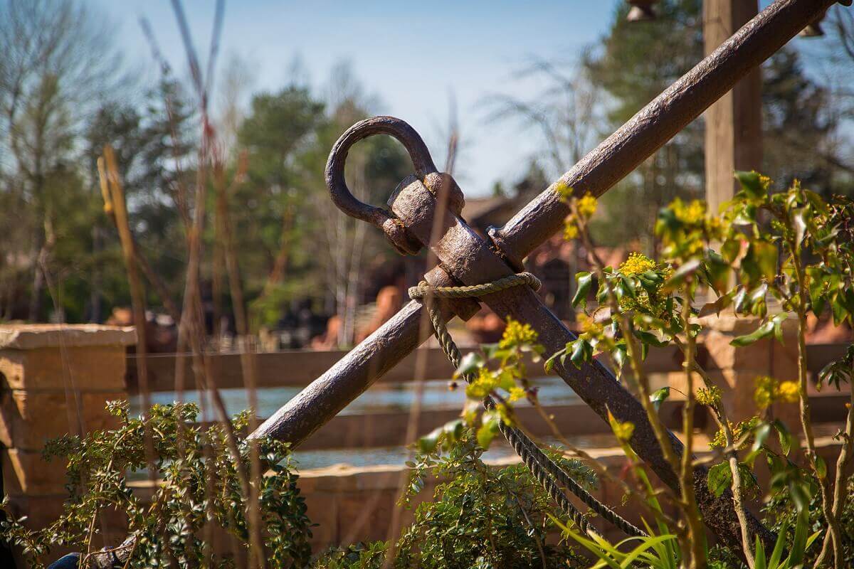 Details in Frontierland A metal implement lies abandoned in a patch in Frontierland