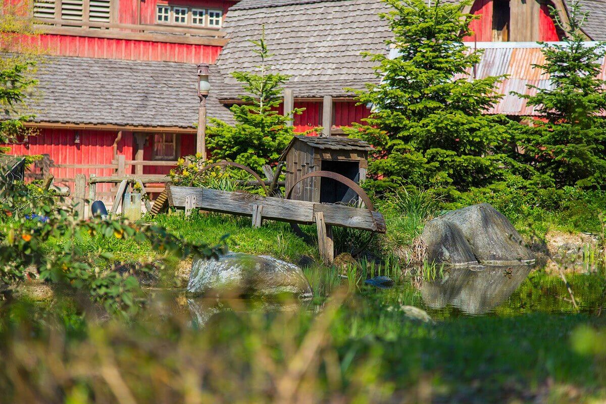 Small watering place at the barn of the Cowboy Cookout View of a small body of water in front of the red barn of the fast food restaurant Cowboy Cookout