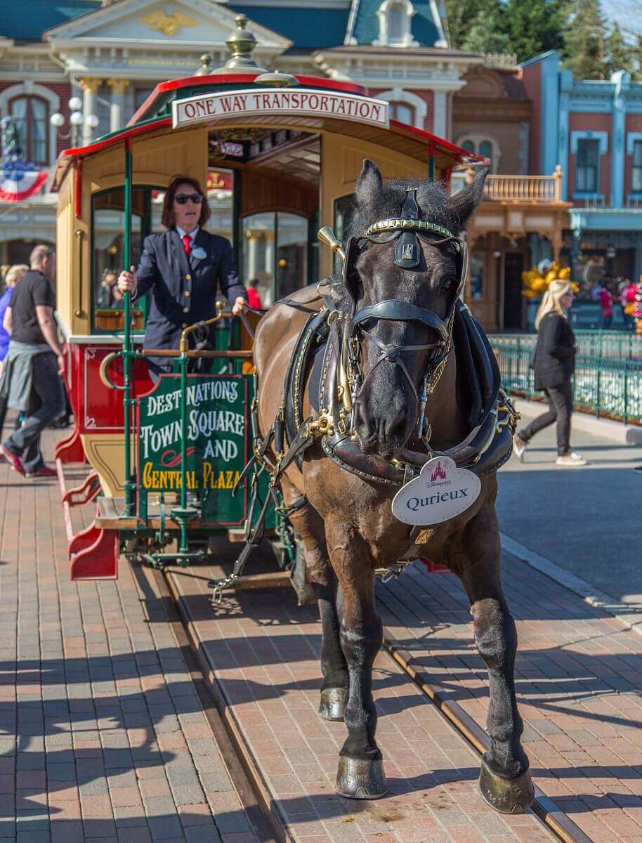 Horse Qurieux pulls a tram Horse Qurieux pulls a tram, City Hall can be seen in the background