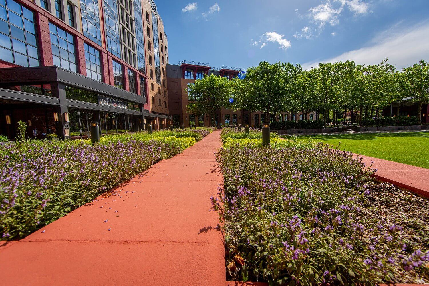 Entrance area outside the hotel Entrance area outside the hotel, with flowers around the walkway.