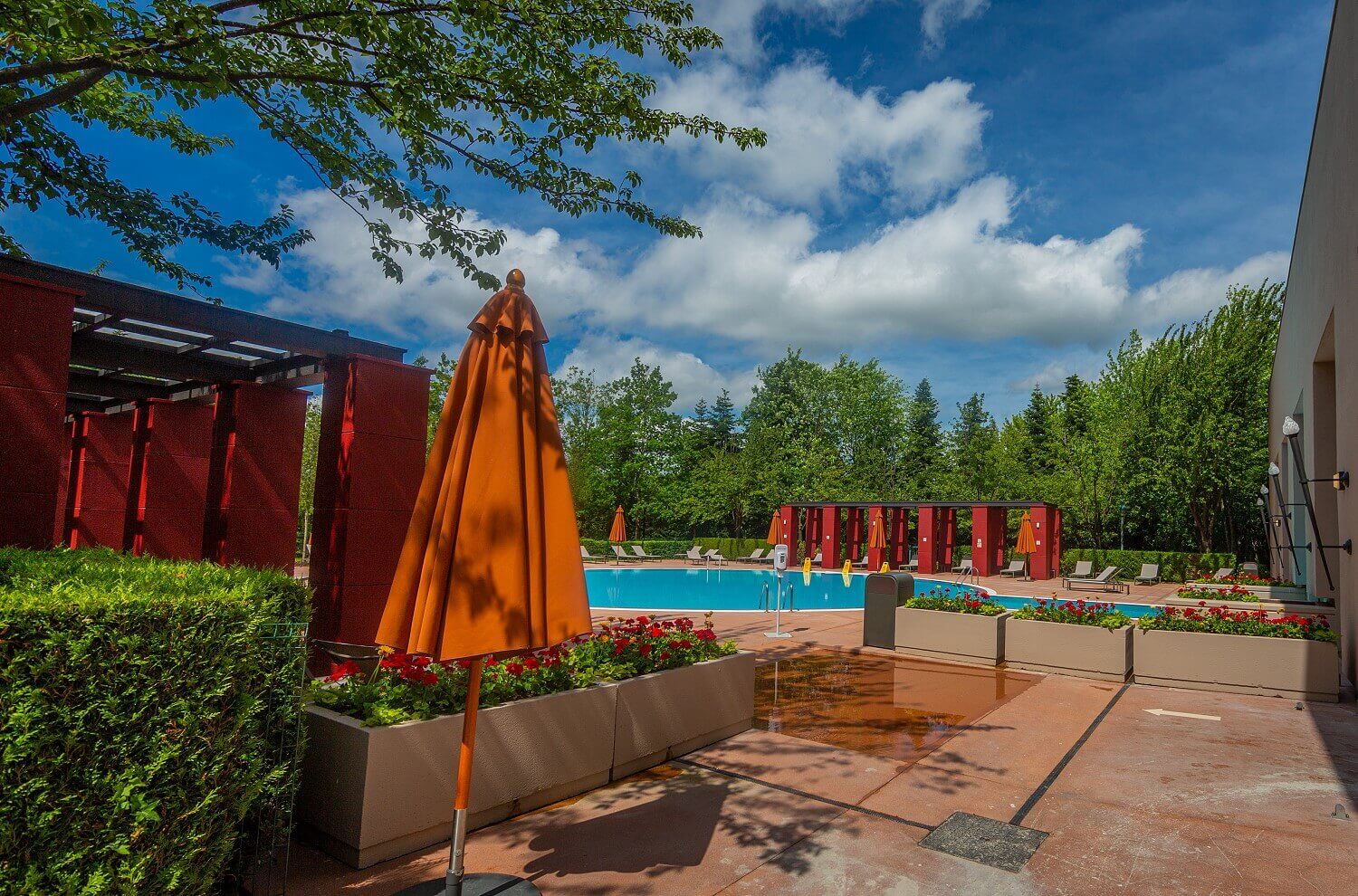 Hotel outdoor pool The hotel's outdoor pool with loungers and parasols in front of it
