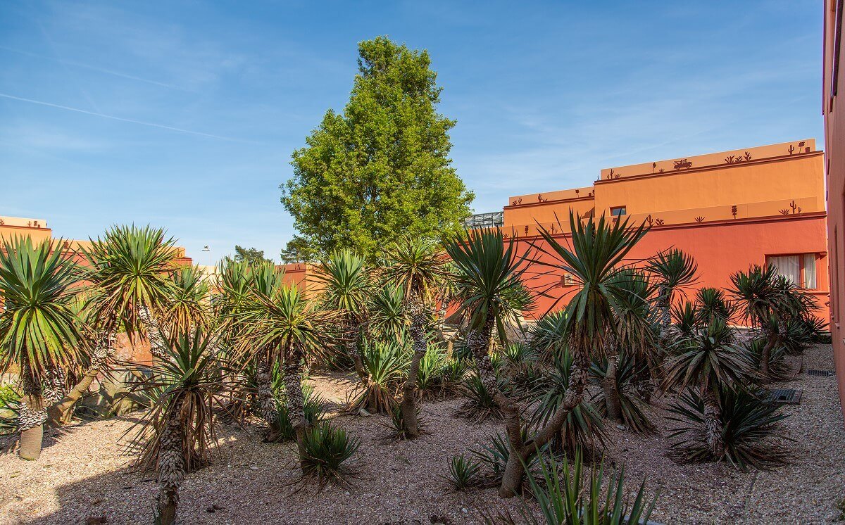 Hotel Santa Fe Many cactus palms stand in front of the hotel buildings.