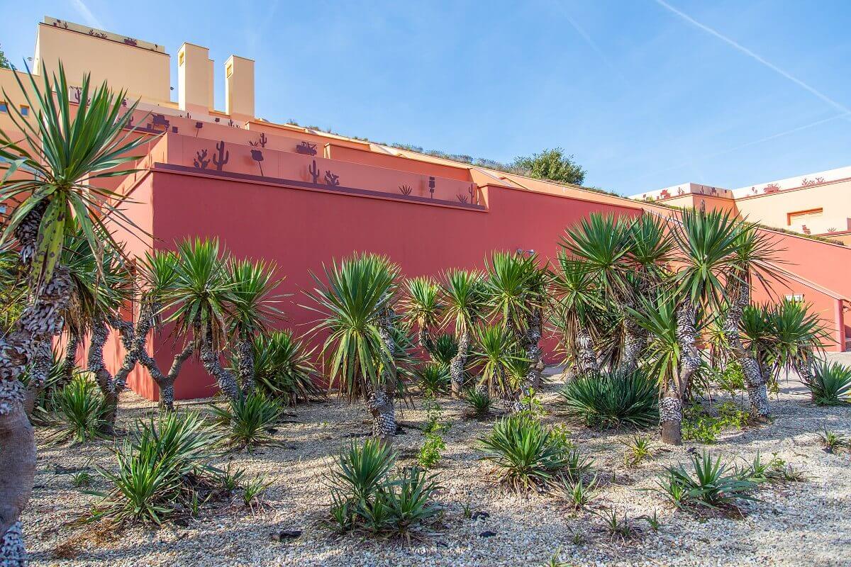 Santa Fe Hotel Building Some cactus palms stand in front of the hotel buildings.