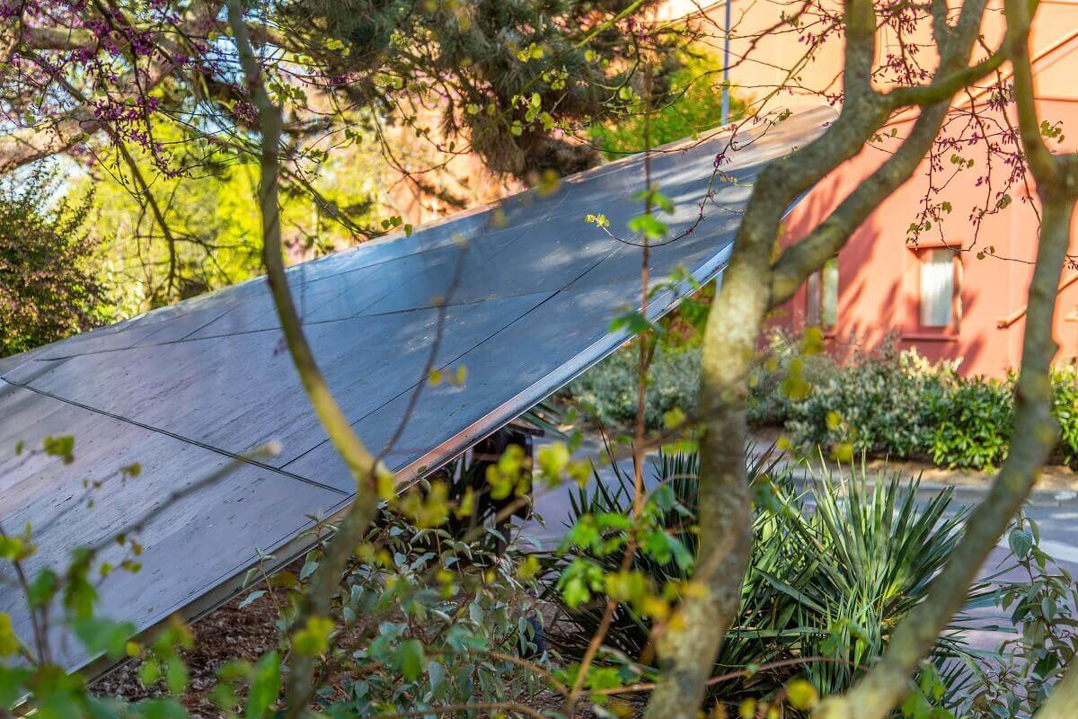 Ufo on the hotel grounds A part of the UFO surrounded by woods.