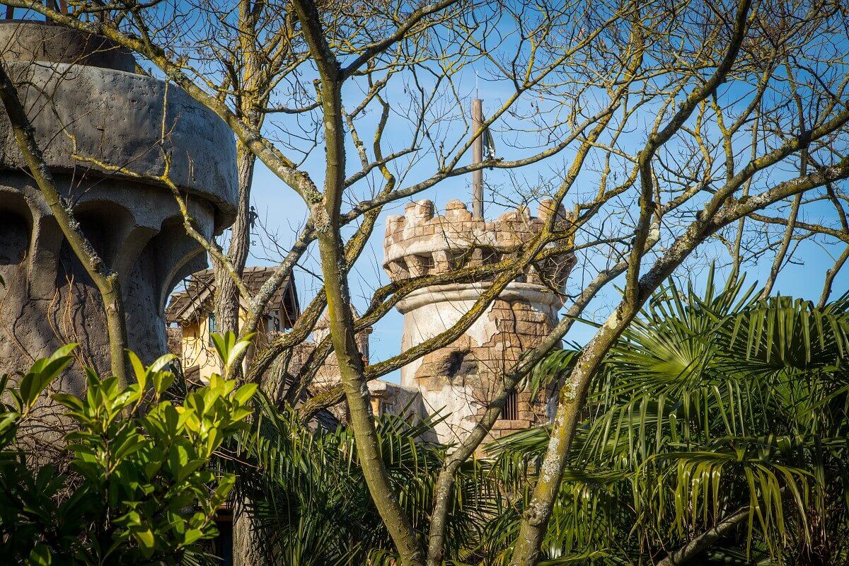 Walls of the fort behind plants a view of the walls of the fort at the Pirates of the Caribbean attraction, slightly obstructed by plants