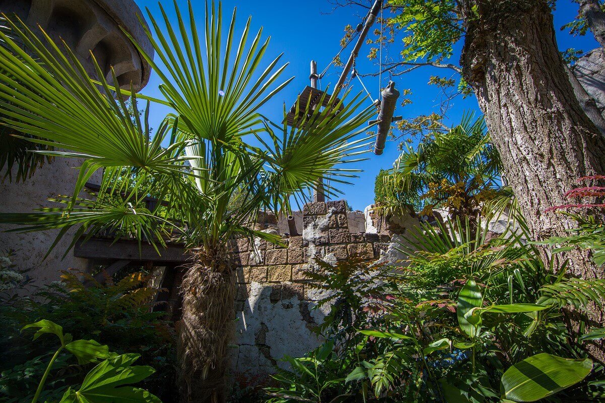 Tropical plants at the fort behind tropical plants you can see the fort of the Pirates of the Caribbean attraction