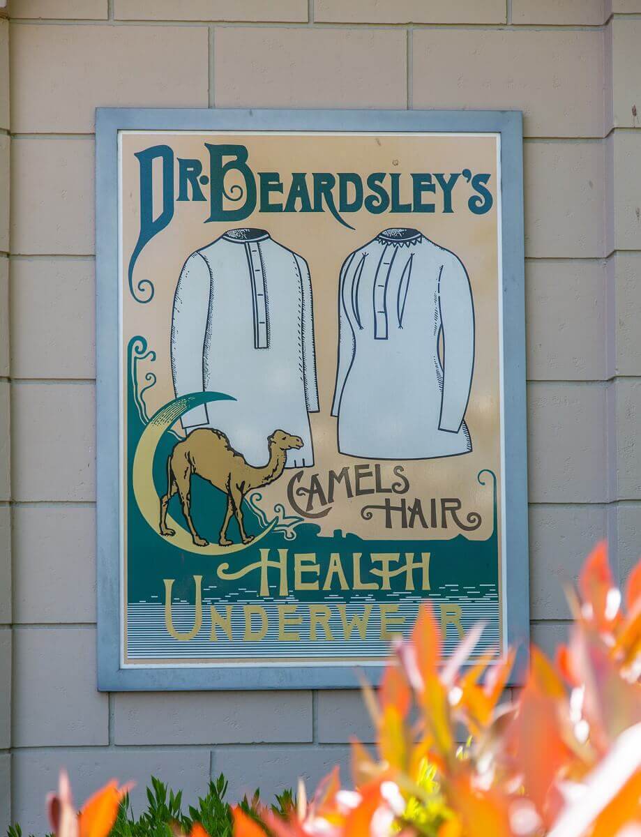 Advertising for Dr Beardsley's Advertising for Dr. Beardsley's Camels Hair Health Underwear