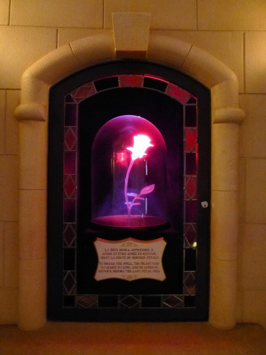 Enchanted Rose in the Princess Pavilion Under a glass dome in the Princess Pavilion waiting area, the enchanted rose from Beauty and the Beast glows