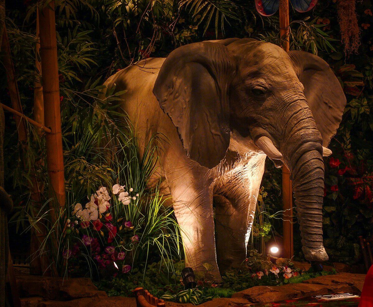 Elephant Audio Animatronic elephant in the jungle next to a table