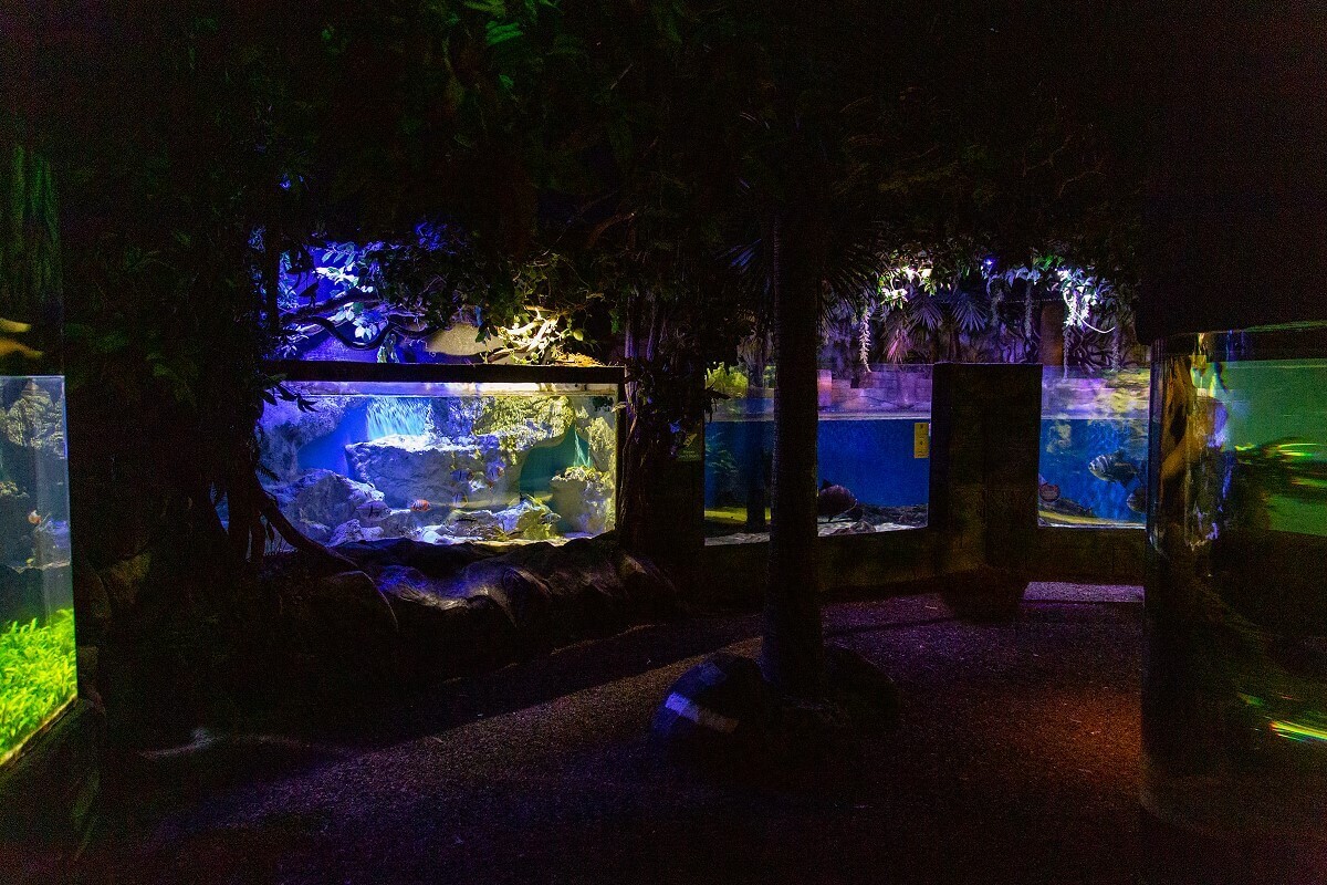 Various aquariums at the Sea Life Center in Disneyland Paris Various aquariums at the Sea Life Center in Disneyland Paris