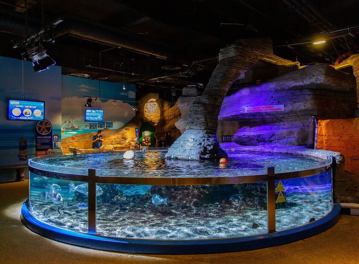 Large round pool at Sea Life Big round basin in Sea Life, in the middle there is a big reef