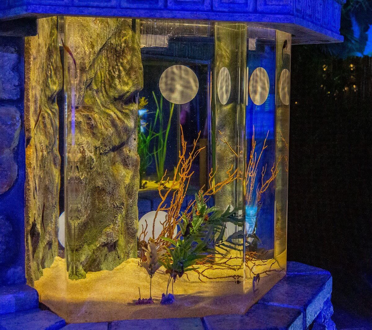 Square aquarium Square aquarium