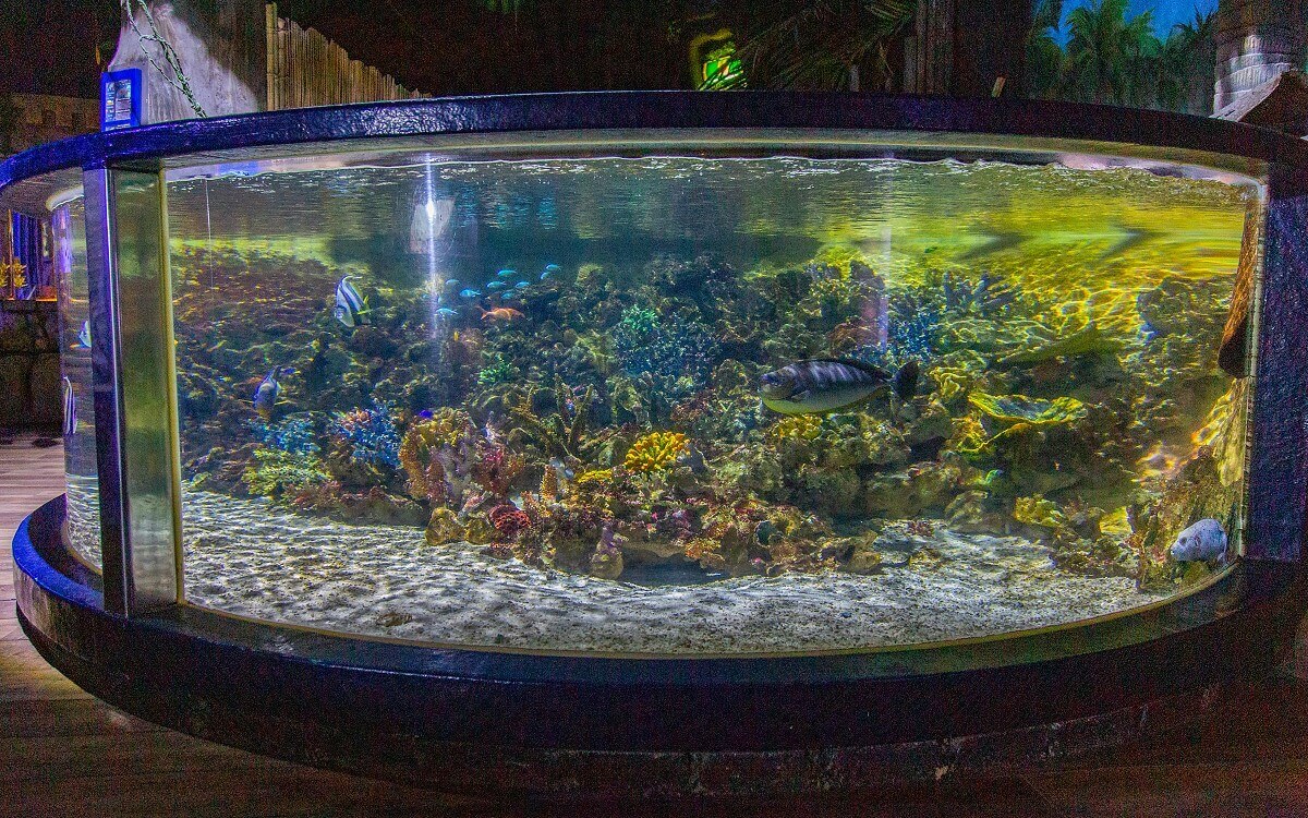 Round aquarium with numerous fish Round aquarium with numerous fish