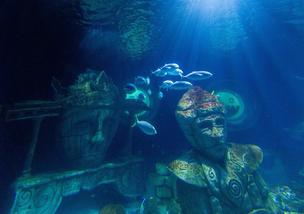 Shoal of fish in front of submerged statues of a vanished civilization Shoal of fish in front of submerged statues of a vanished civilization