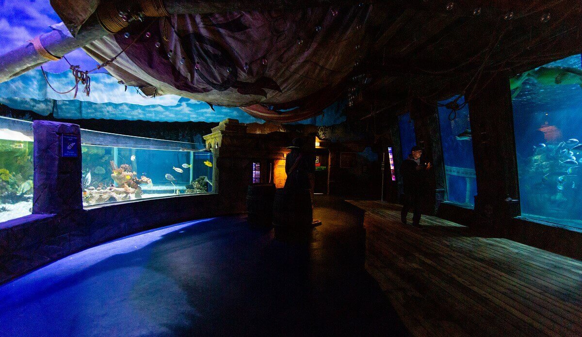 Overview of a room in Sea Life Overview of a room in Sea Life