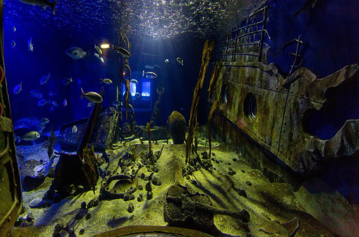 Large aquarium at Sea Life Large aquarium in Sea Life, on the right decorated with a shipwreck
