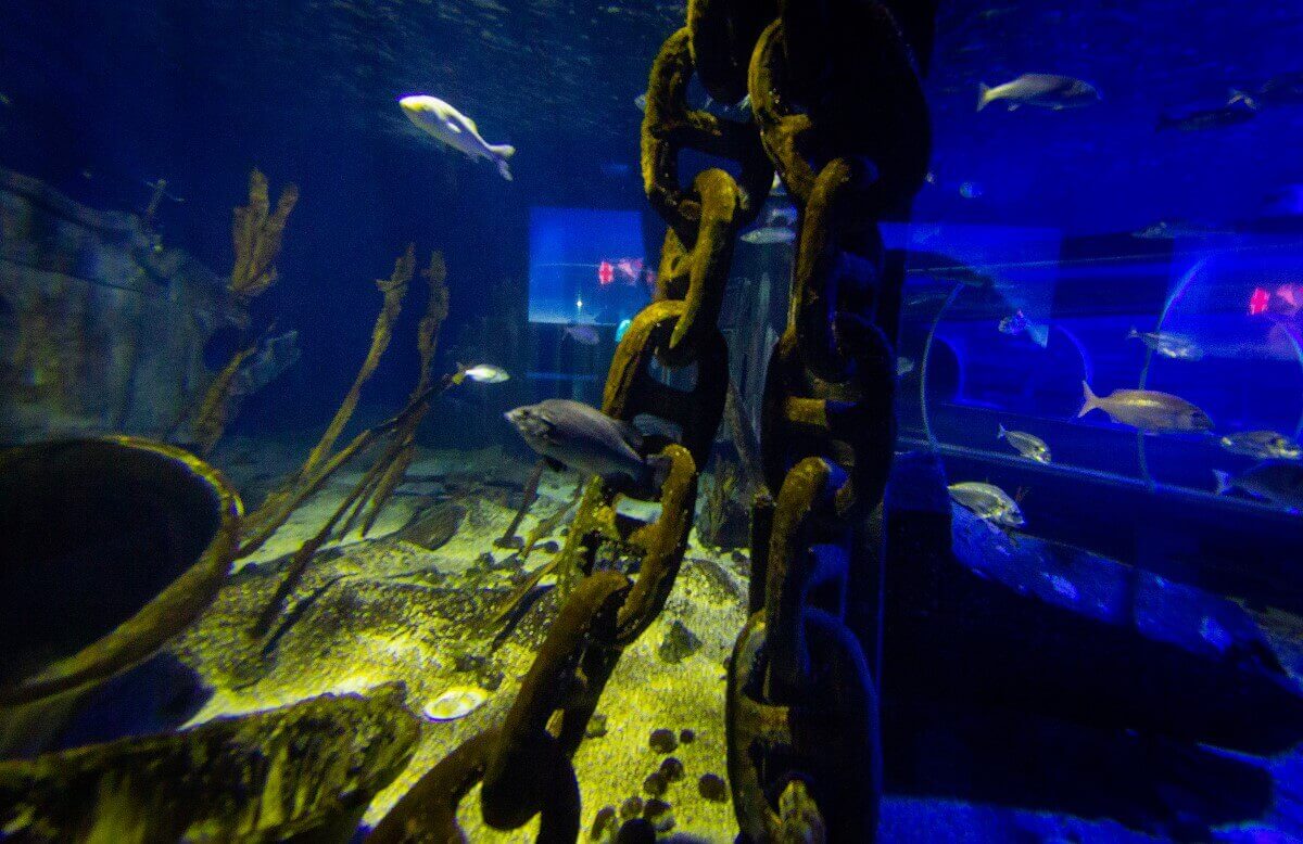 View into a basin View into a basin