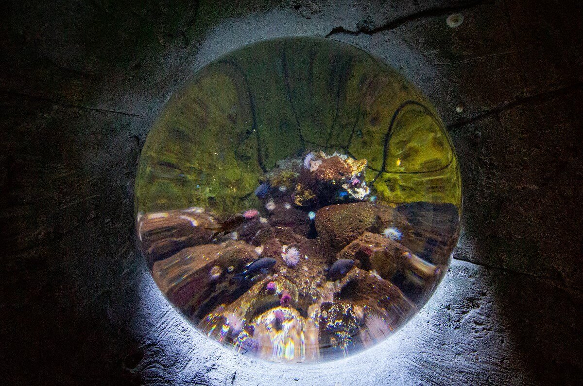 View through a huge lens into a basin View through a huge lens into a basin