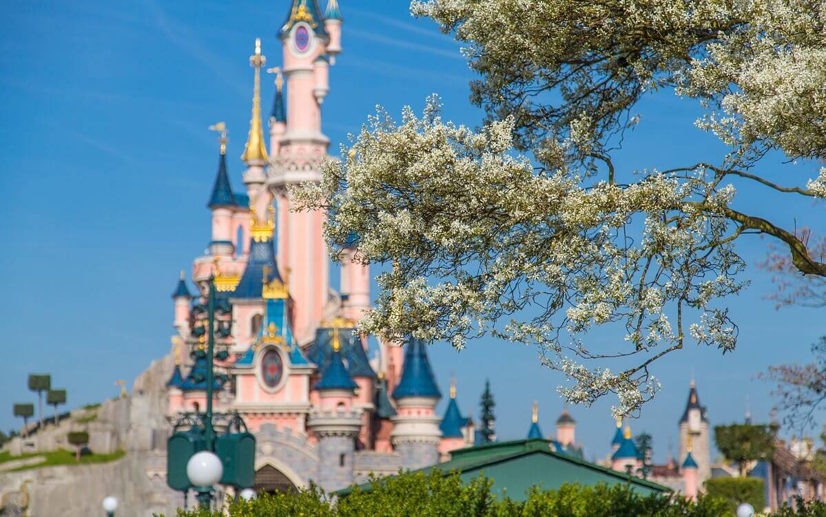 Spring awakening at the Dornroeschen castle at some blossoming branches one looks past on the Sleeping Beauty castle